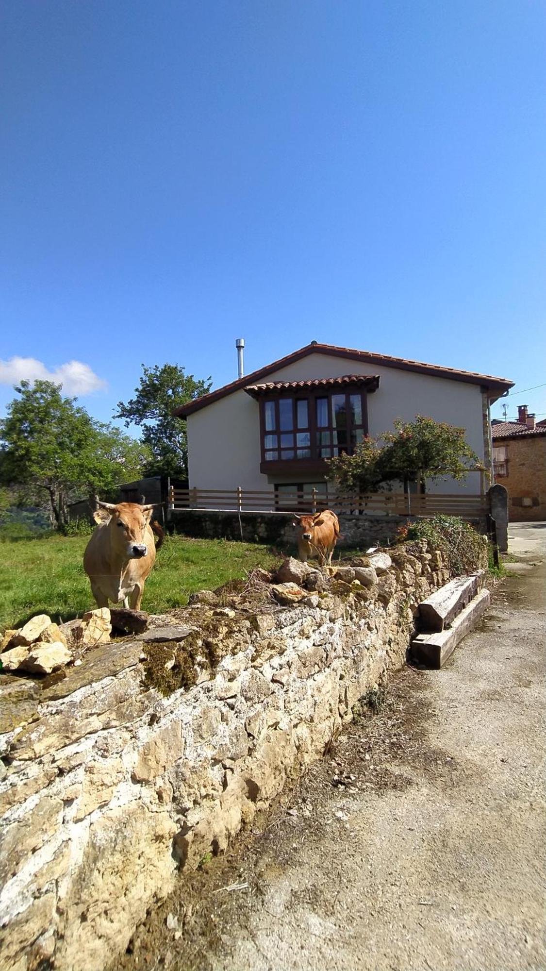 El Rosal Villa Beloncio Kültér fotó